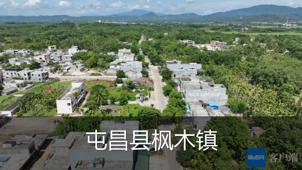 屯昌县枫木镇